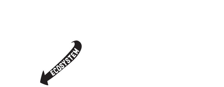 Paving Partnership Pathways
