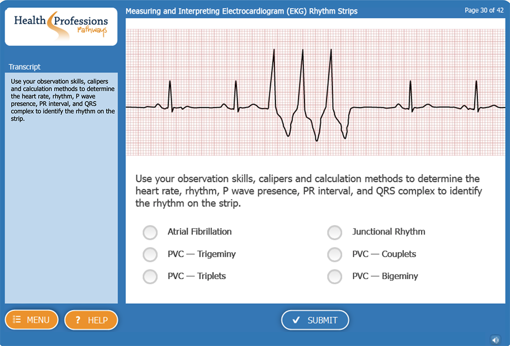 screen shot Measuring and Interpreting Electrocardiogram (EKG) Rhythm Strips eLearning Simulation